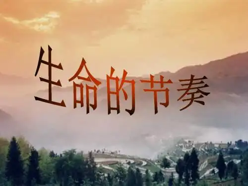 生命的节奏ppt优秀课件 人教版