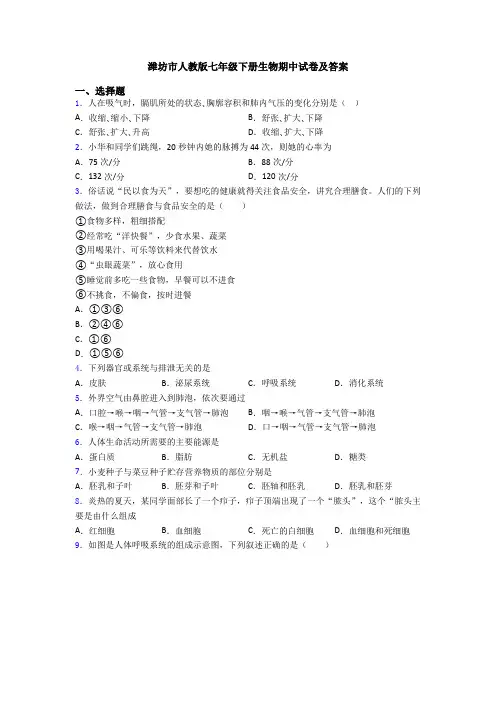 潍坊市人教版七年级下册生物期中试卷及答案