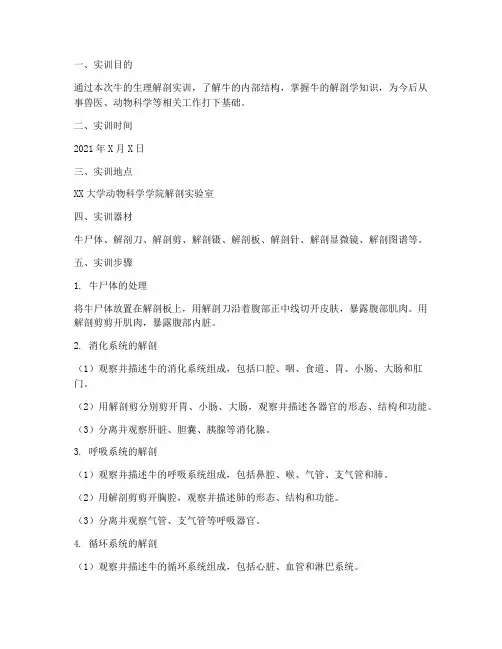 牛的生理解剖实训报告