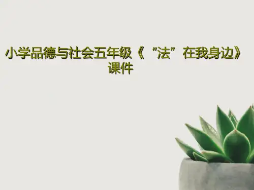 小学品德与社会五年级《“法”在我身边》课件共27页