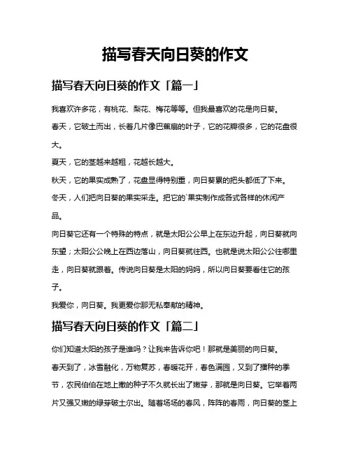 描写春天向日葵的作文