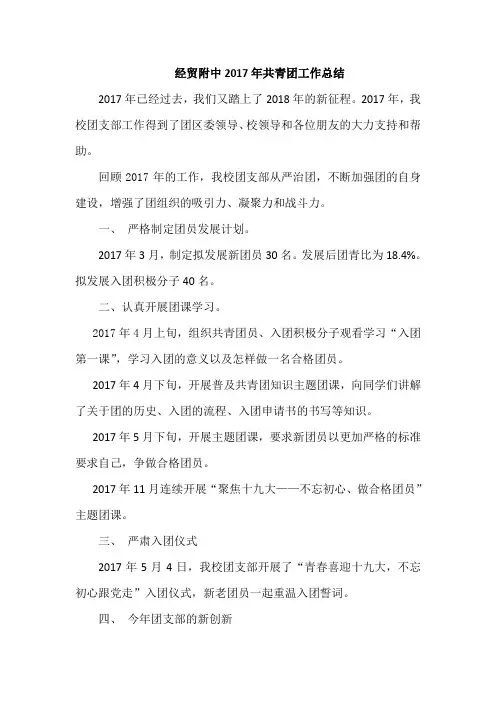 中学共青团工作总结