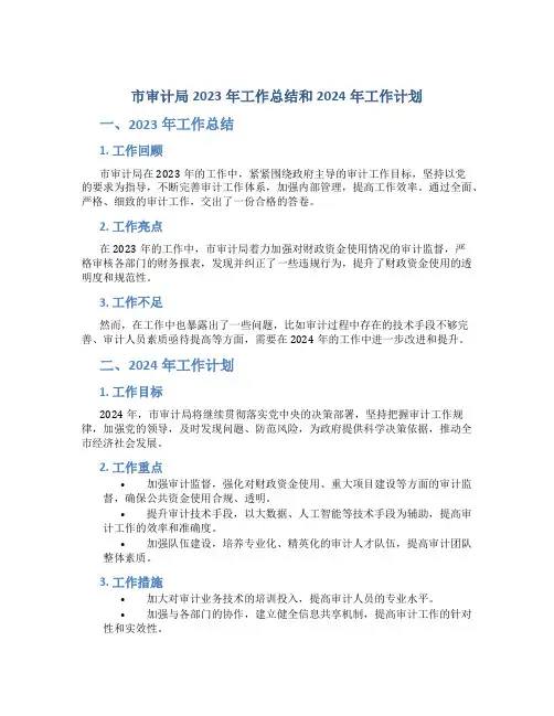 市审计局2023年工作总结和2024年工作计划