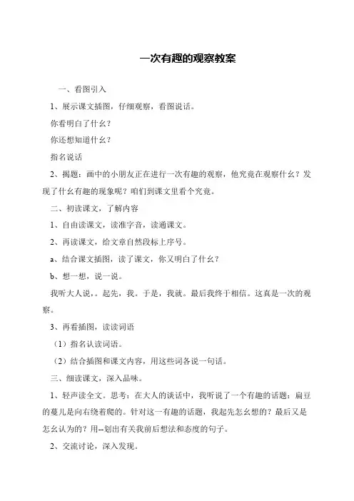 一次有趣的观察教案