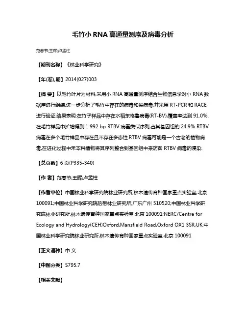 毛竹小RNA高通量测序及病毒分析