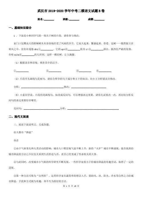 武汉市2019-2020学年中考二模语文试题B卷