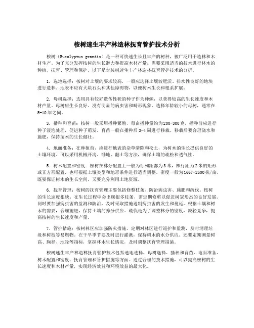 桉树速生丰产林造林抚育管护技术分析