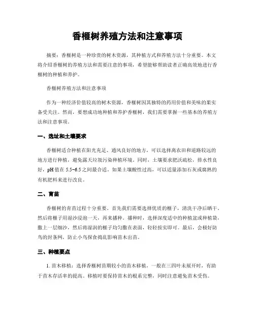 香榧树养殖方法和注意事项