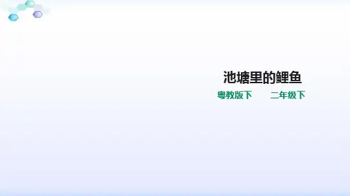 苏教版二年级下册科学1.3池塘里的鲤鱼(课件)