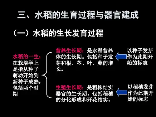 3水稻的生育过程与器官建成