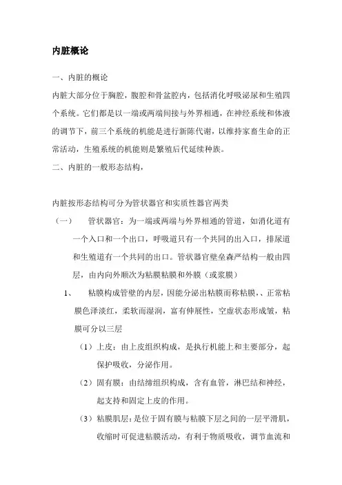 内脏概论