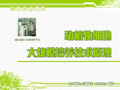 动植物细胞大规模培养