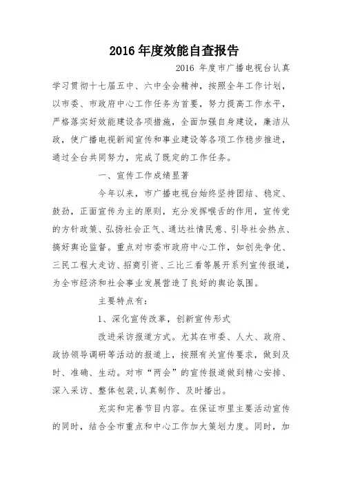 2016年度效能自查报告