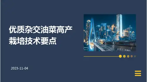 优质杂交油菜高产栽培技术要点