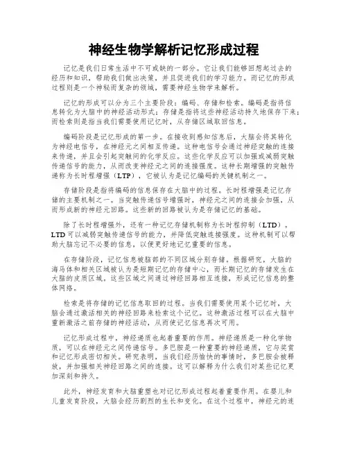 神经生物学解析记忆形成过程