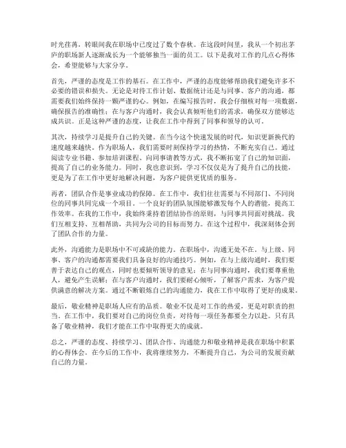 工作心得体会_严谨
