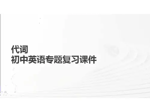 代词高频考点(19张PPT)初中英语专题复习课件