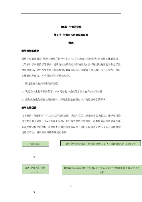 高中生物人教版必修二教案：第6章生物的进化 6.1生物有共同祖先的证据