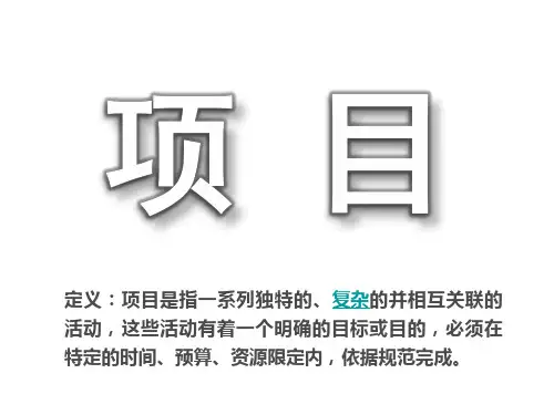 项目前期讲解(课件)