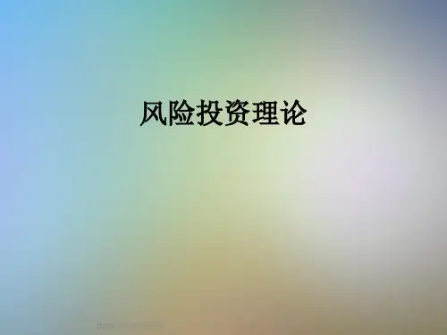 风险投资理论