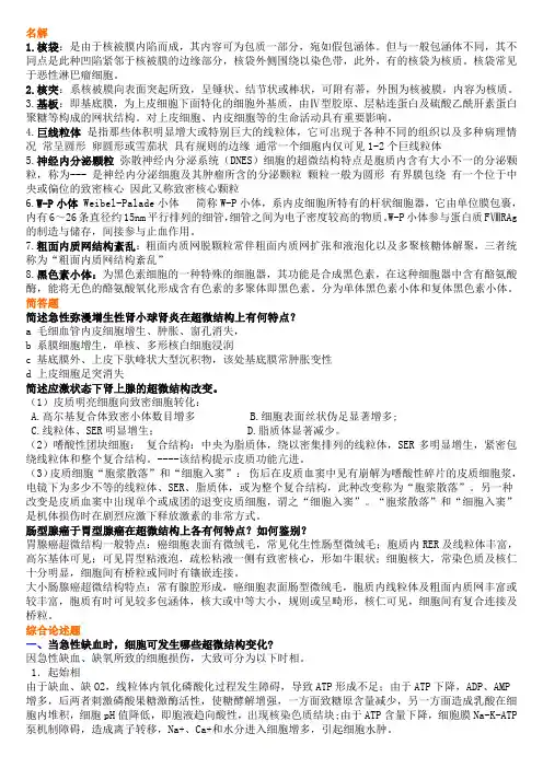 超微病理