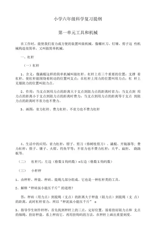 小学六年级科学复习提纲.doc