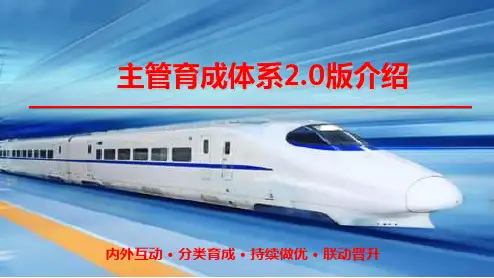 保险公司主管育成体系介绍国寿版95页