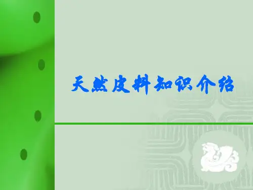 皮料知识