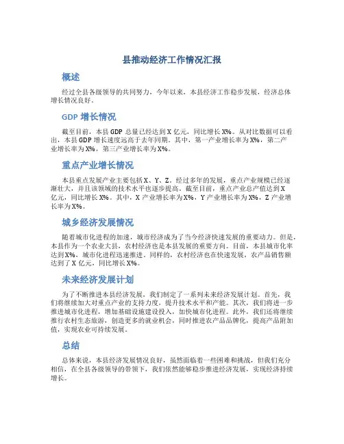 县推动经济工作情况汇报