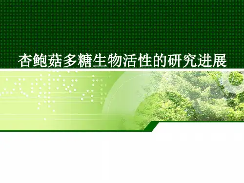 杏鲍菇多糖生物活性的研究进展