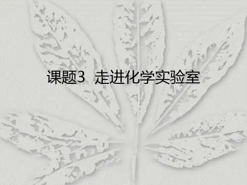 九年级化学第一单元 课题3走进化学实验室 教学课件 (共36张PPT)