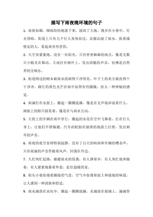 描写下雨夜晚环境的句子