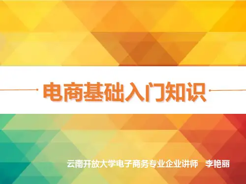 电商基础入门知识培训课件(PPT52页)