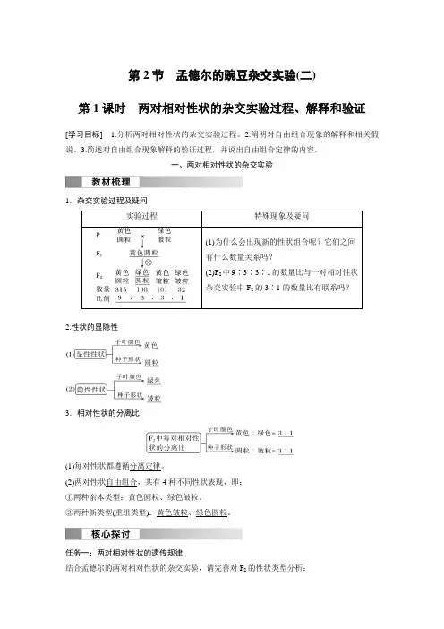 2024年高中生物新教材同步必修第二册 第1章 第2节 第1课时 两对相对性状的实验过程、解释和验证
