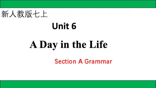 人教版(2024)英语七年级上册Unit6SectionA(GrammarFocus)语法课件