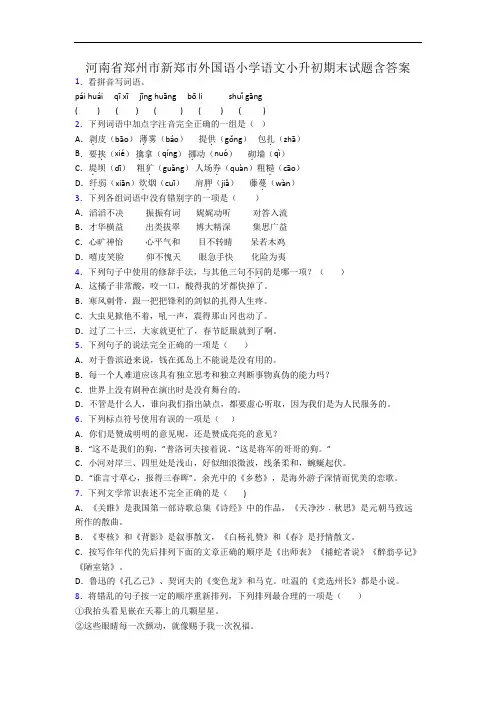 河南省郑州市新郑市外国语小学语文小升初期末试题含答案