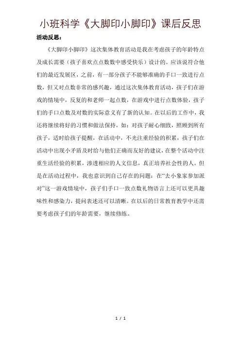 小班科学《大脚印小脚印》课后反思课件材料