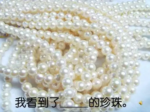 三年级语文课件___三年级上册圆圆的沙粒课件