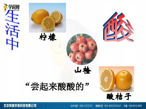 人教版九年级下册化学第十单元课题1常见的酸和碱第1课时教学课件 (共19张PPT)