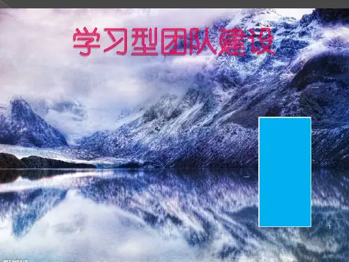 学习型团队建设PPT演示课件