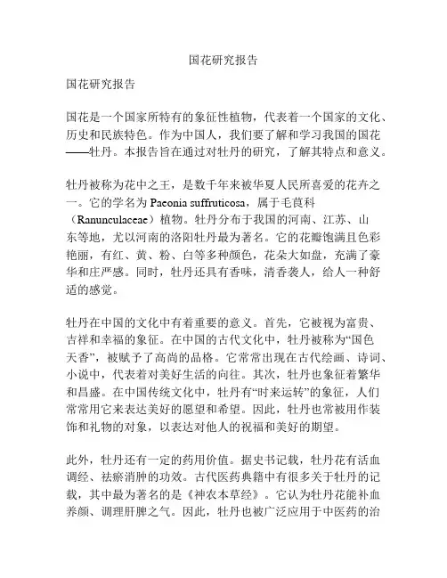 国花研究报告