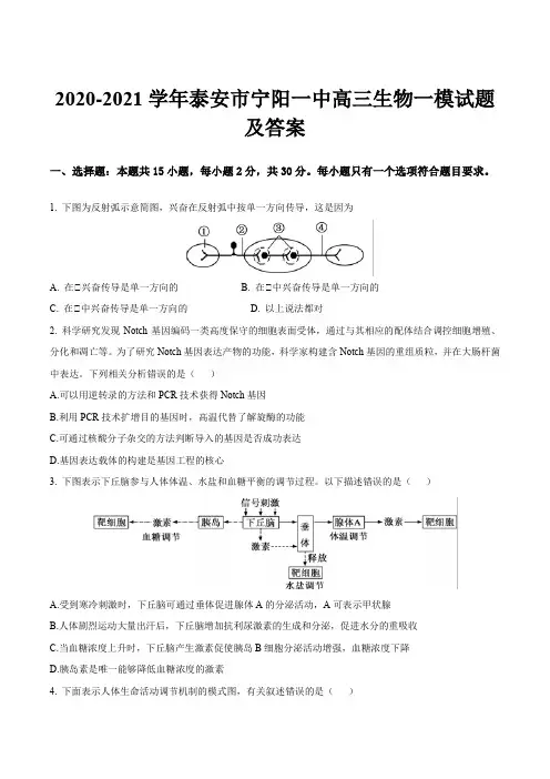 2020-2021学年泰安市宁阳一中高三生物一模试题及答案