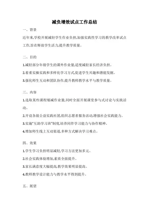 减负增效试点工作总结