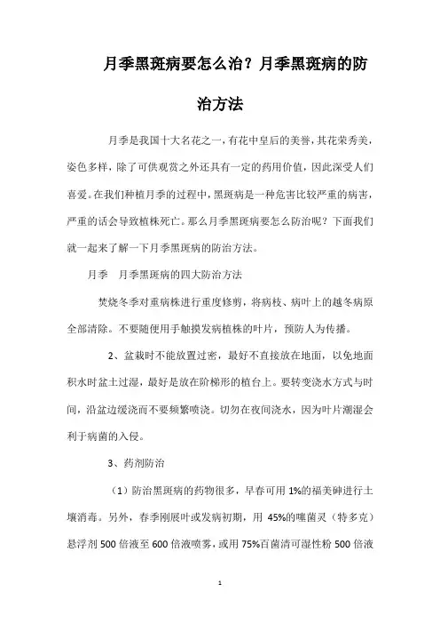 月季黑斑病要怎么治？月季黑斑病的防治方法