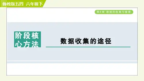 鲁教五四版六年级下册数学 第8章 阶段核心方法 数据收集的途径 习题课件