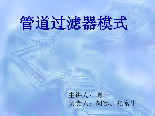 管道过滤器1