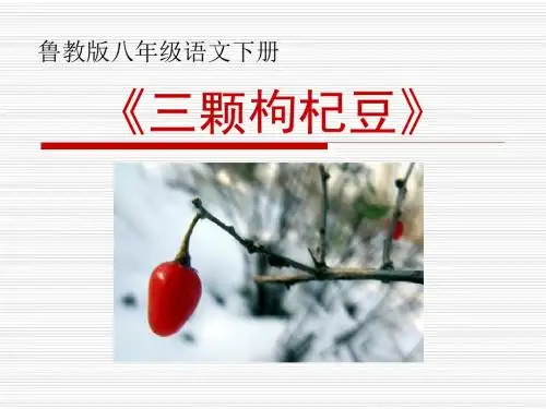 《三颗枸杞豆》PPT优秀课件3