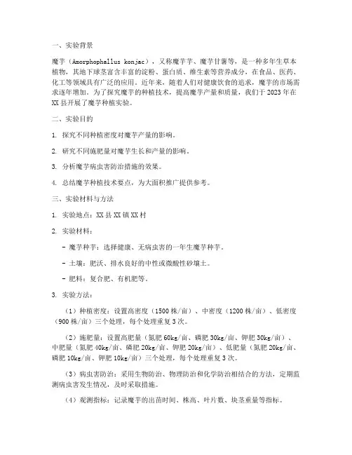 魔芋种植实验报告
