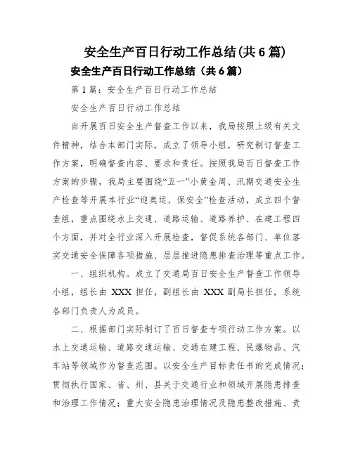 安全生产百日行动工作总结(共6篇)