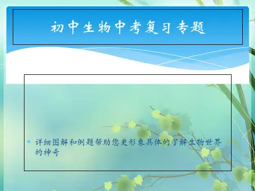 初中生物中考专题复习——配图详解 PPT课件 图文
